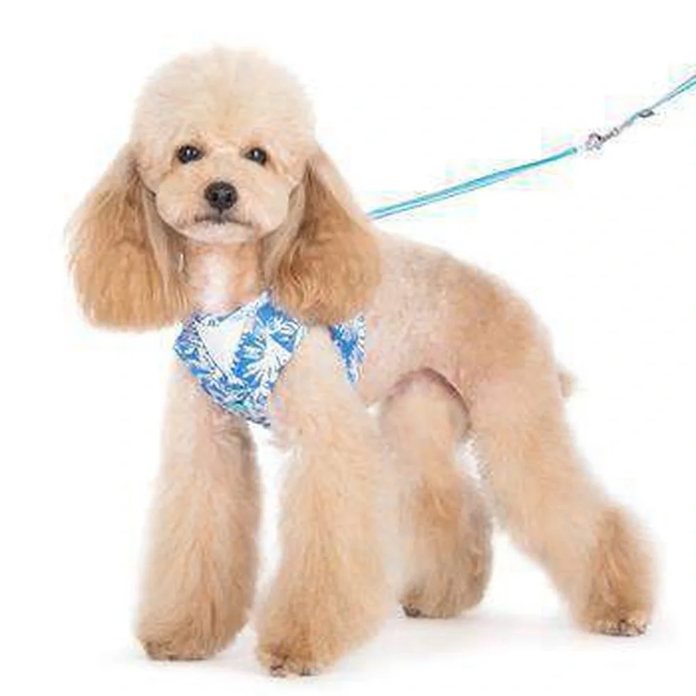 Dogo easily go Hawaiian harness. Size Large with matching leash.